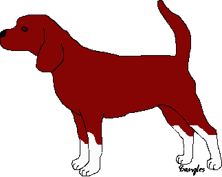 sitebeaglecharlie.gif
